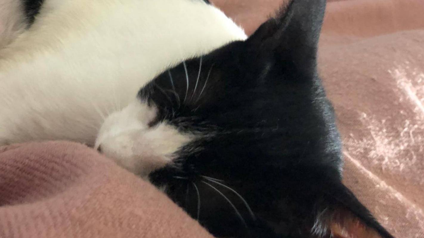 Keli