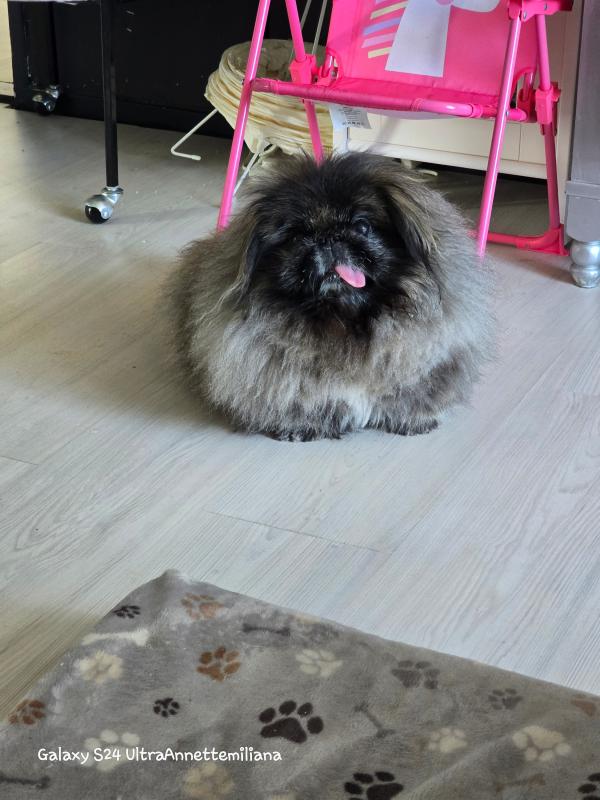 Luna