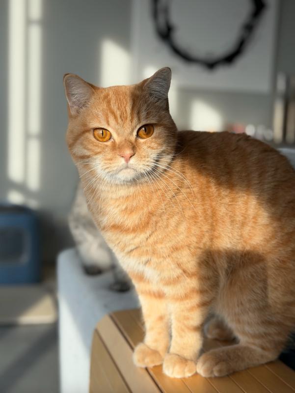 George