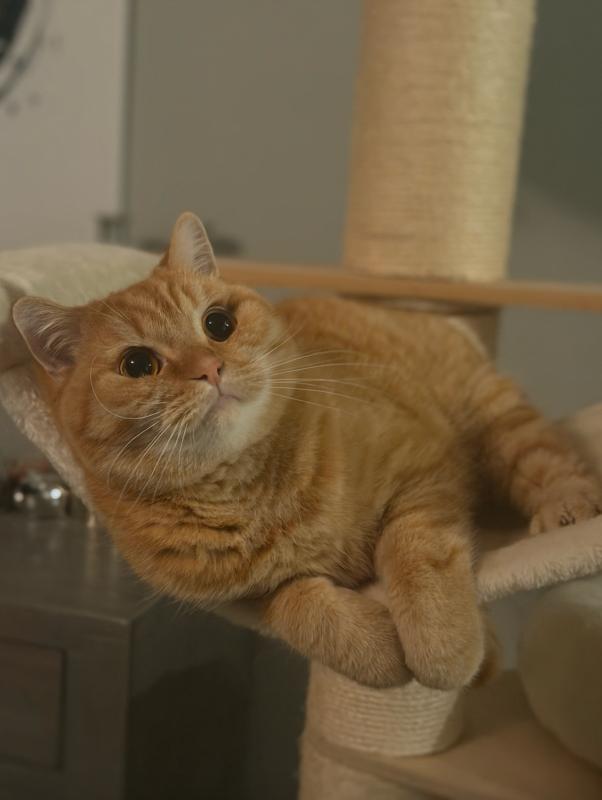 George