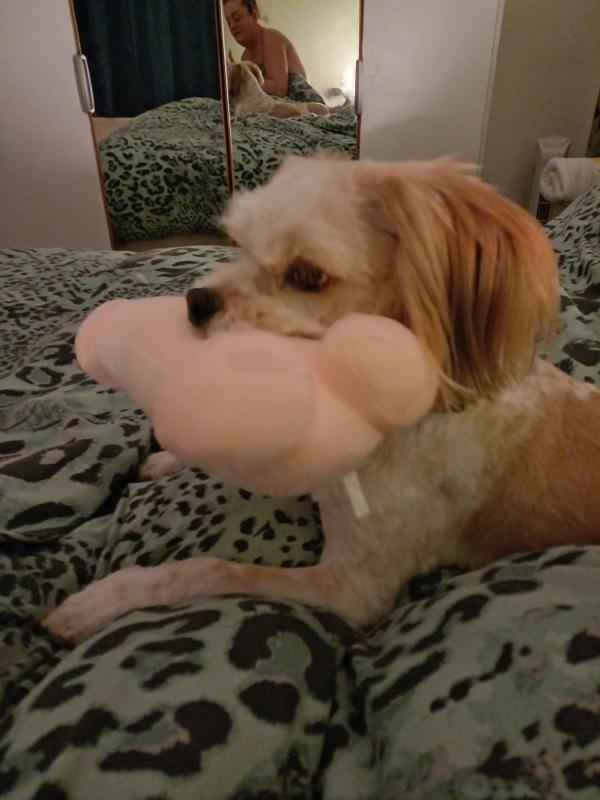 Axel