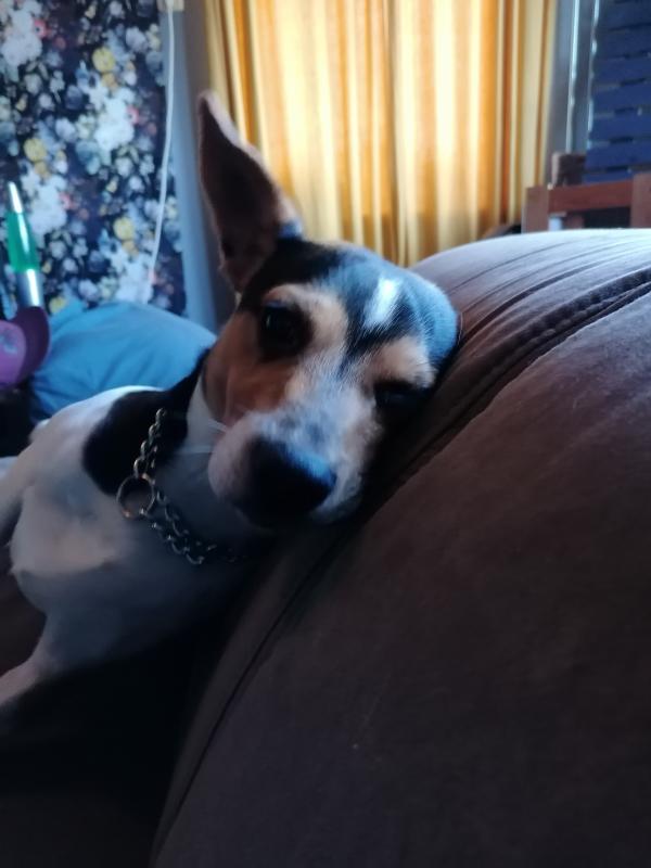 Jackson