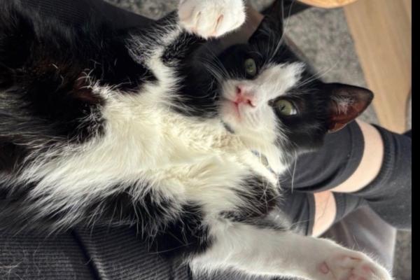 Sid