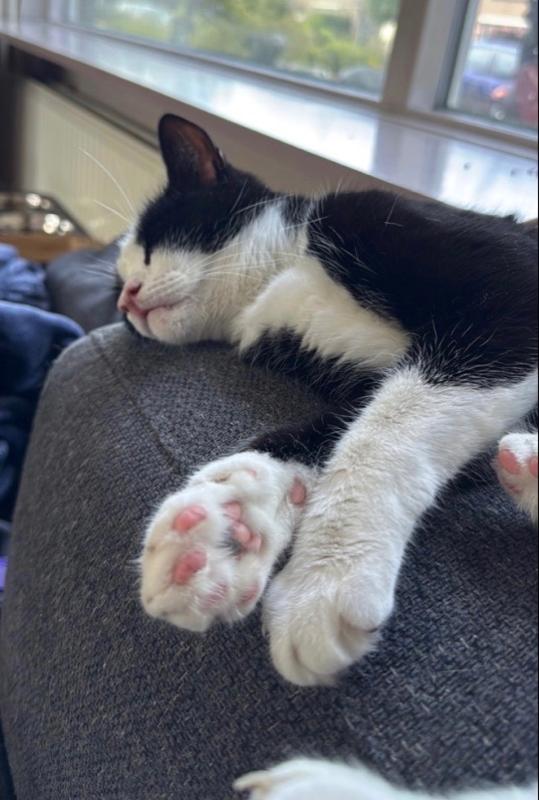 Sid