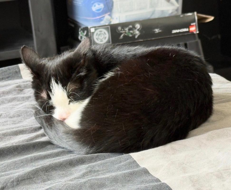 Sid