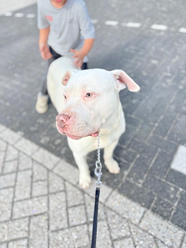 Jax