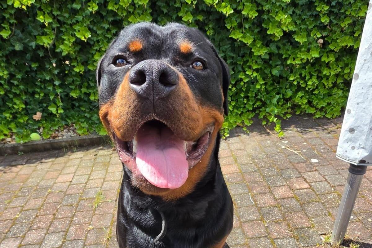 Pablo