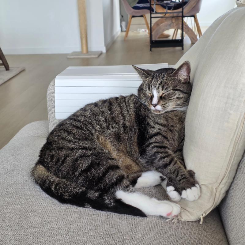 Milo