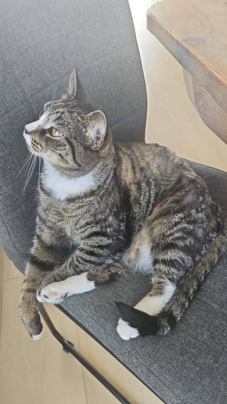 Milo