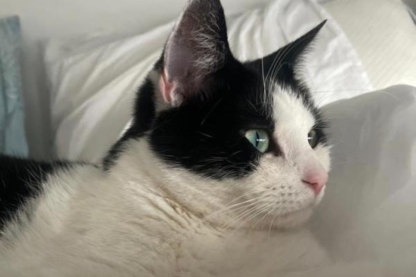 Yuki