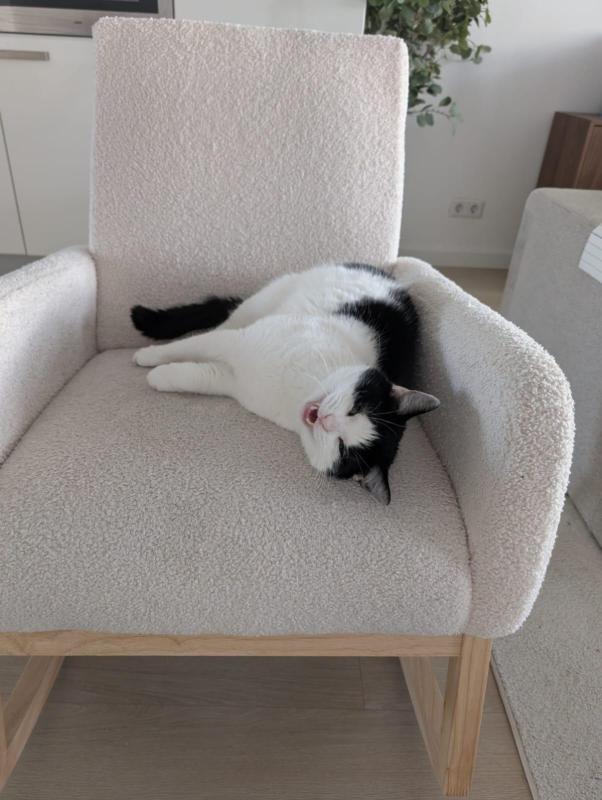 Yuki