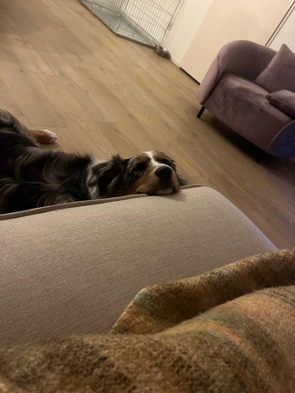 Otis