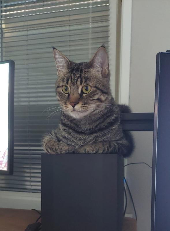 Fernando