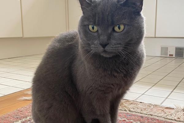 Miep