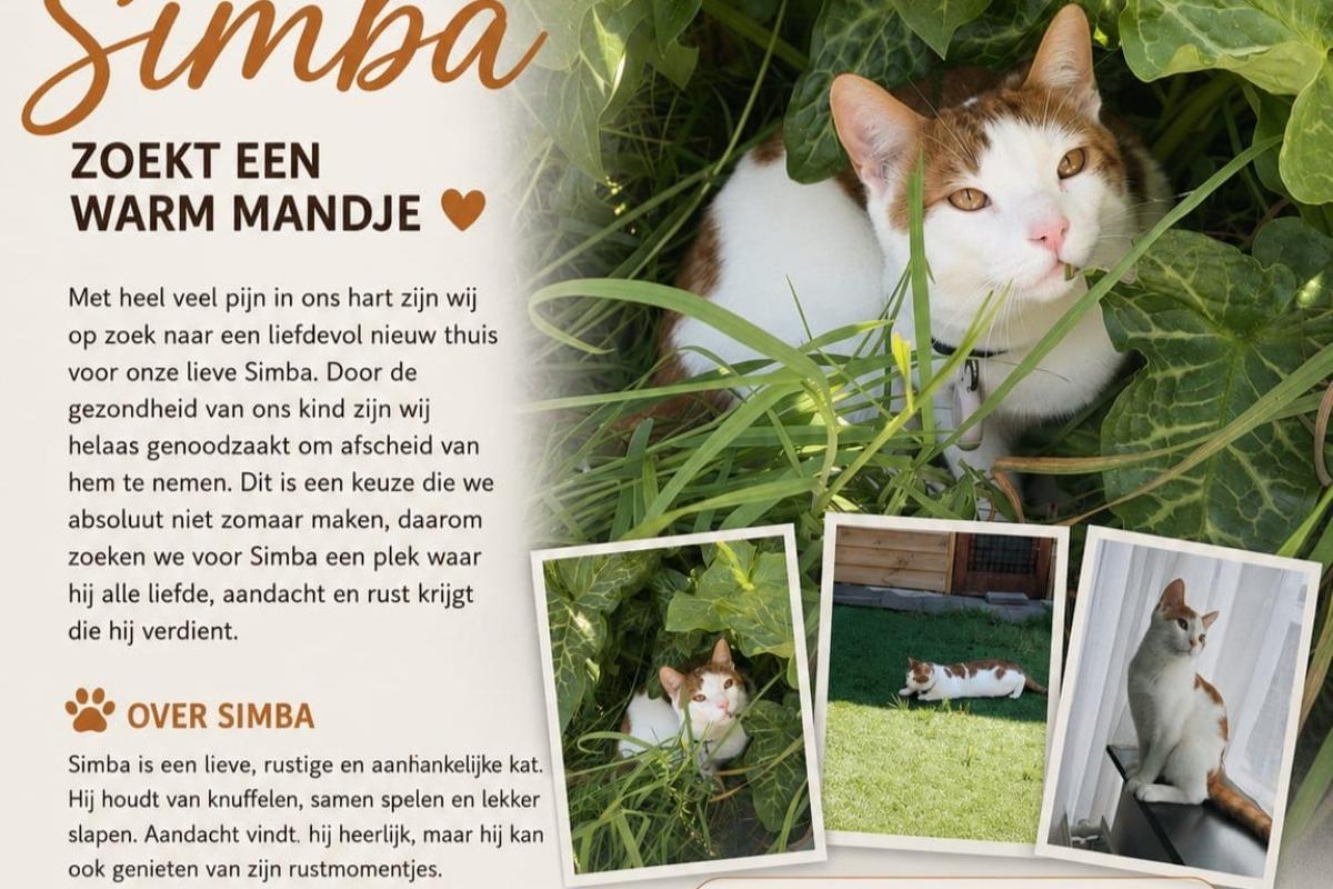 Simba