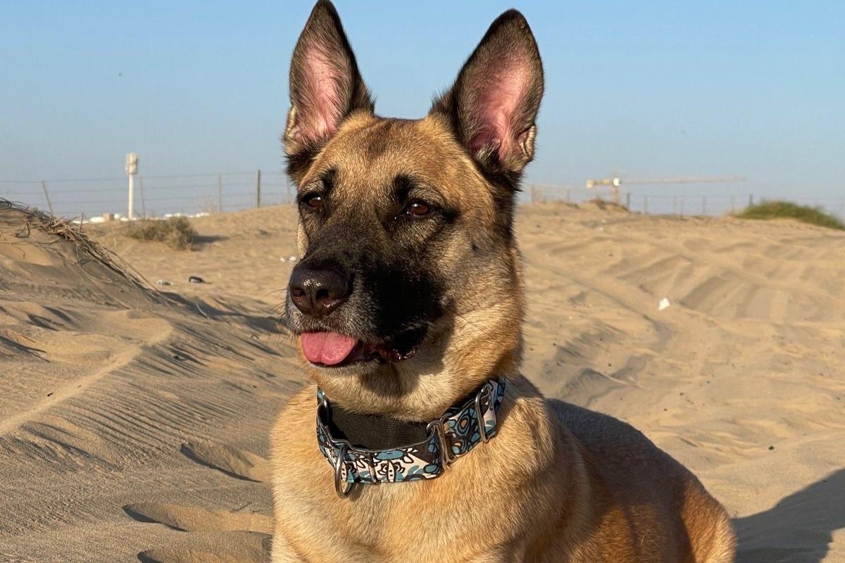 Max