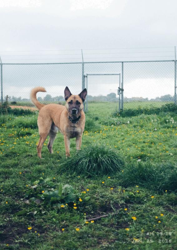 Max
