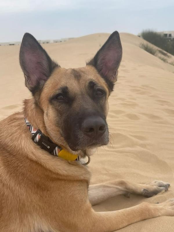 Max