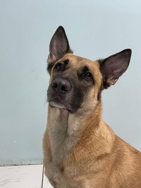 Max