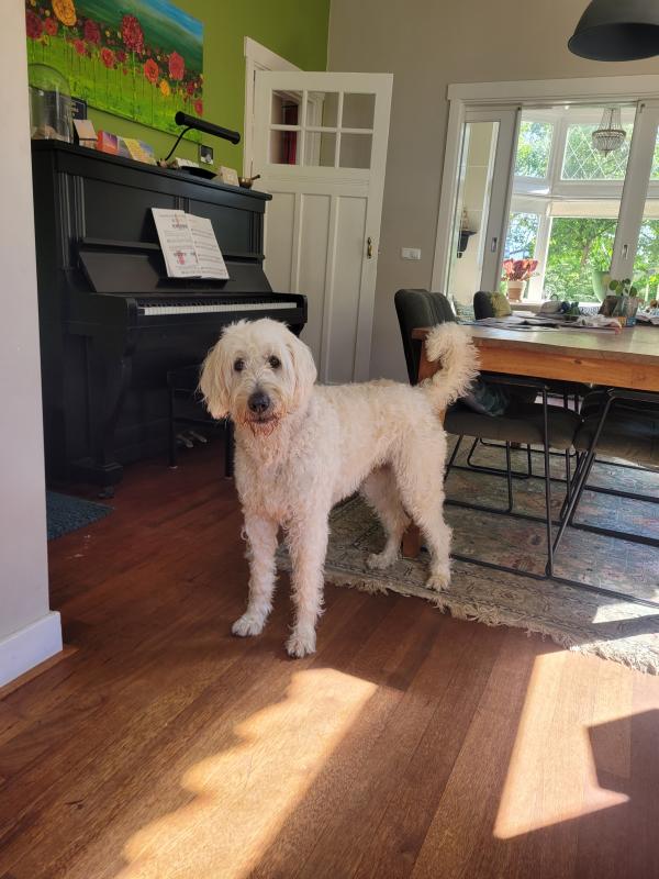 Milo