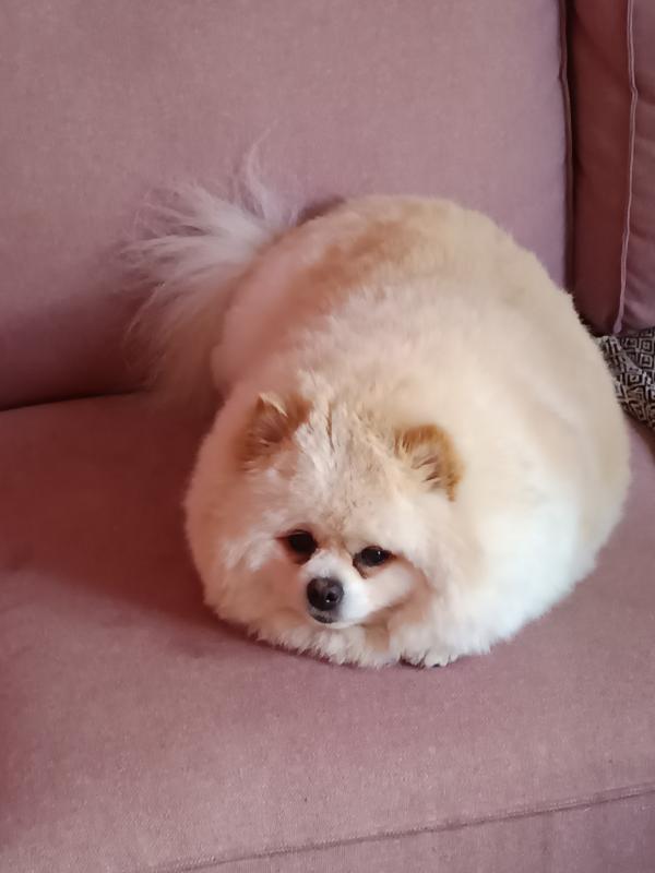 Marly