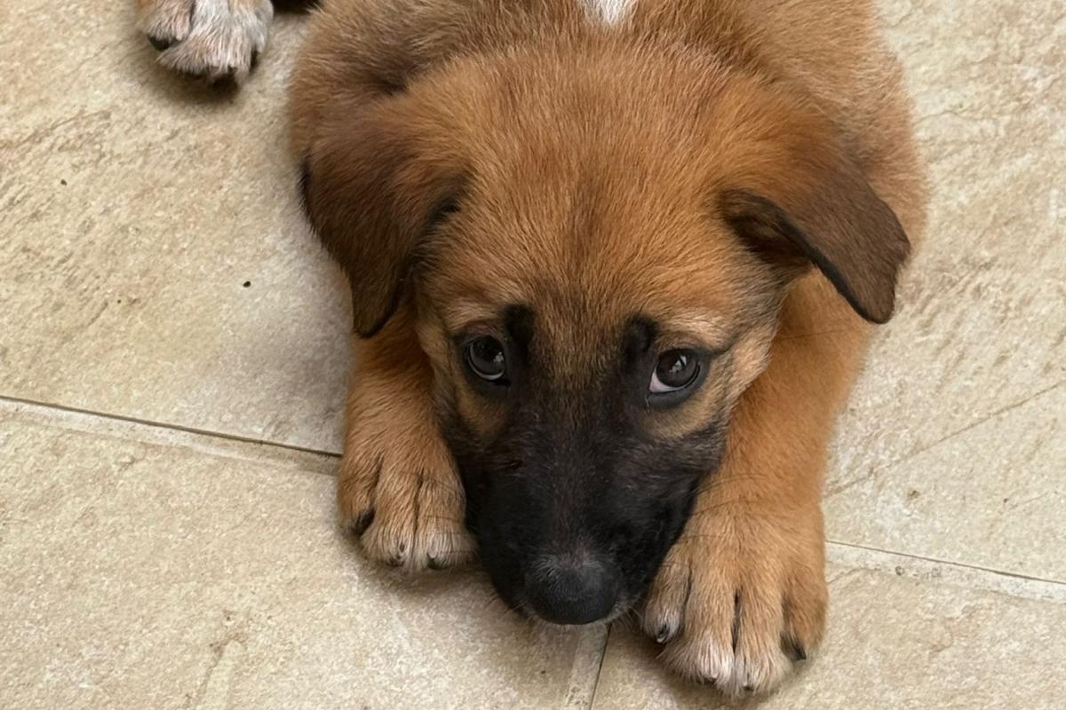 Fiona