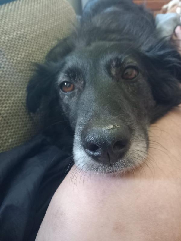 Molly