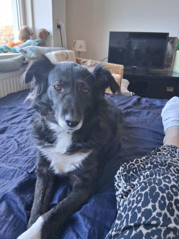 Molly