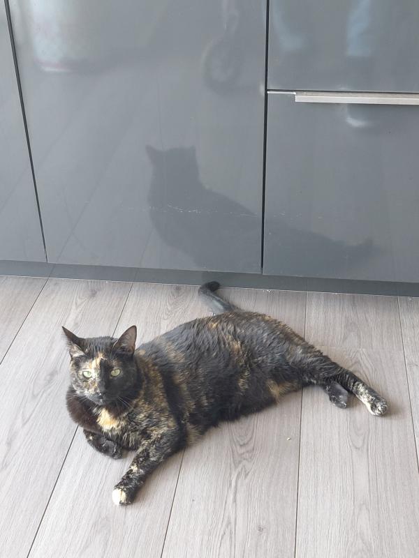 Franka