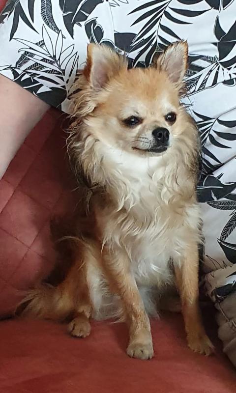 Bobby