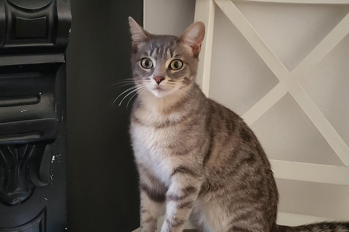Winnie