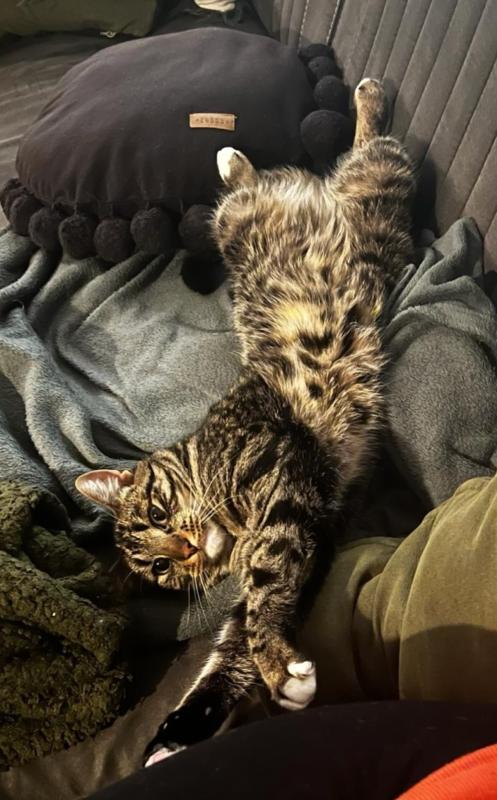Odin