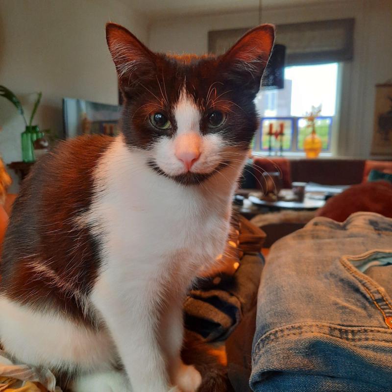 Luna