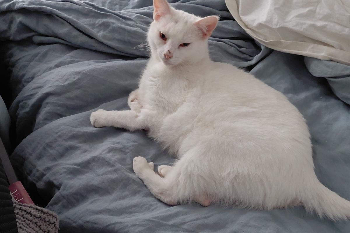 Zoë