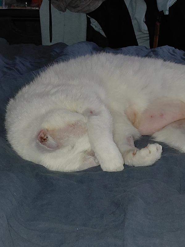 Zoë