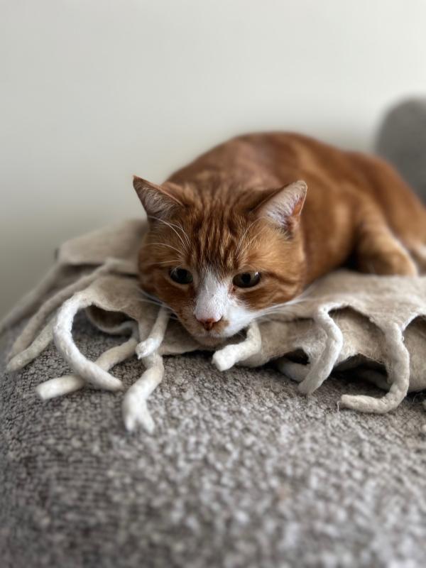 Bowie