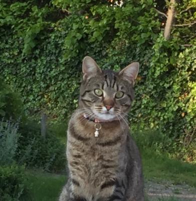 Minnie