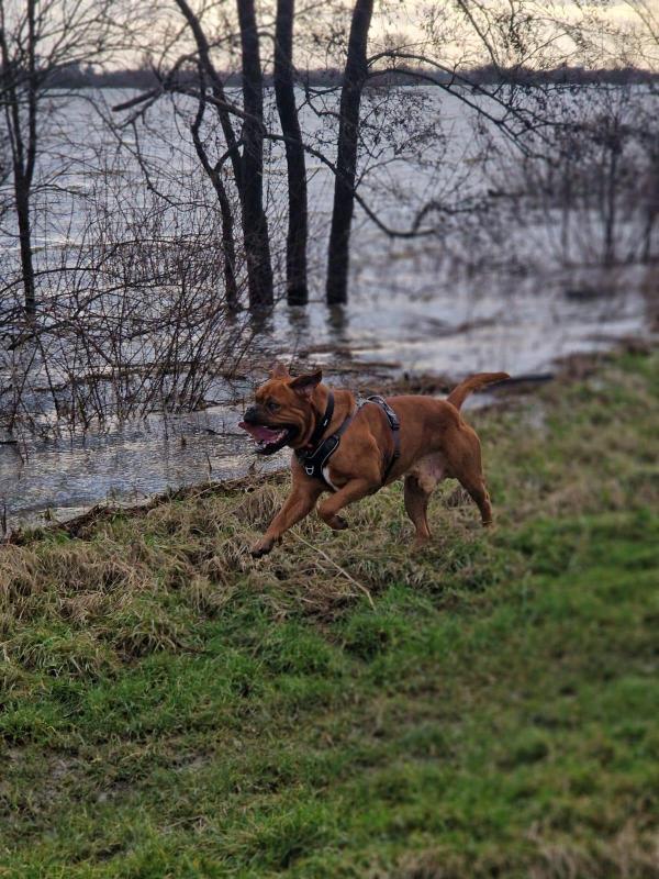 Odin