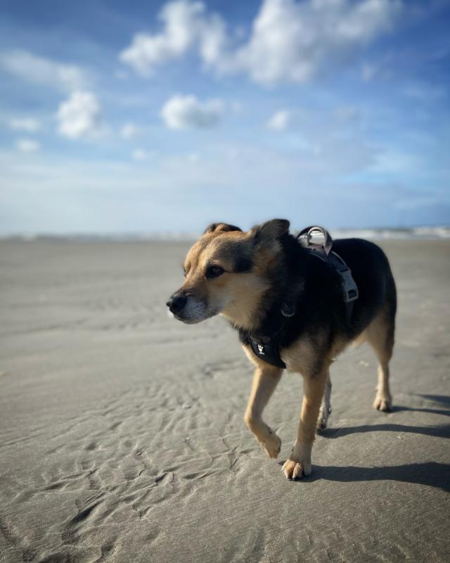 Keffie