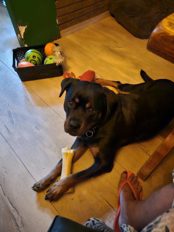 Roxy