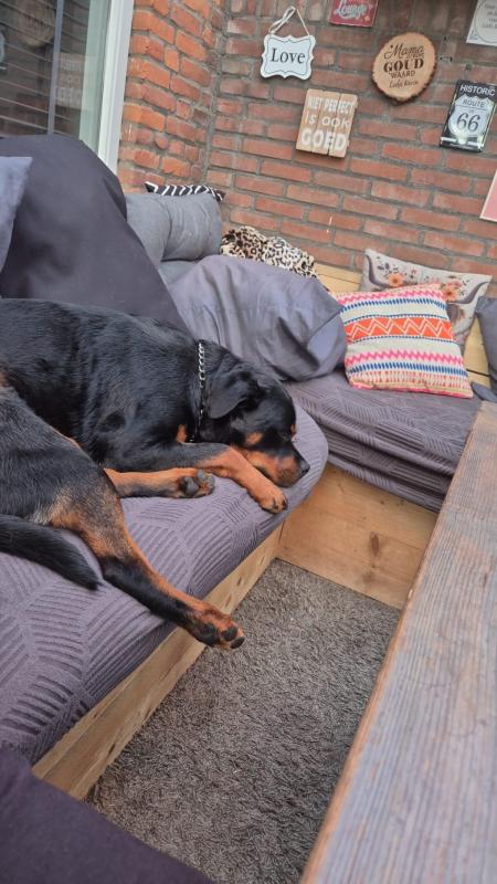 Roxy