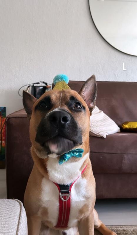 Tyson