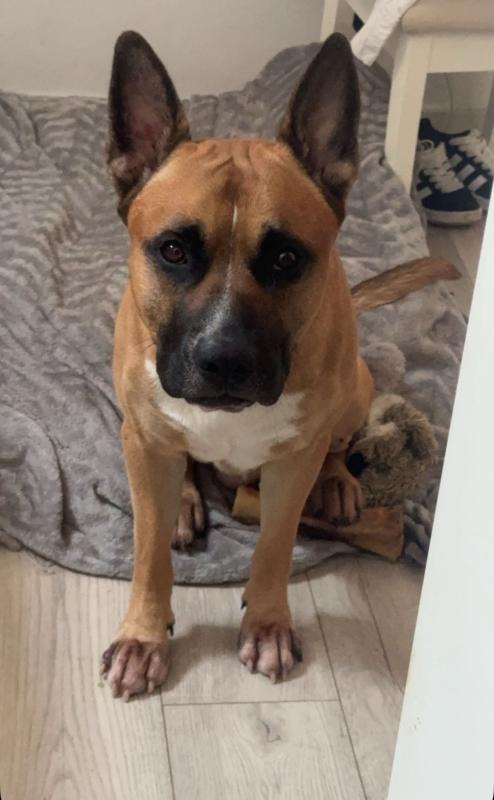 Tyson