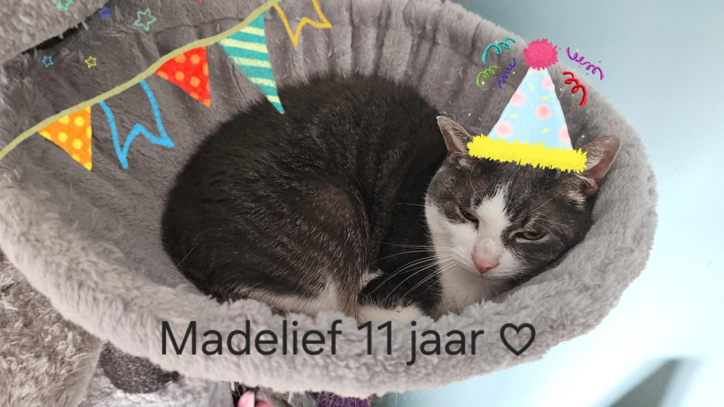 Madelief