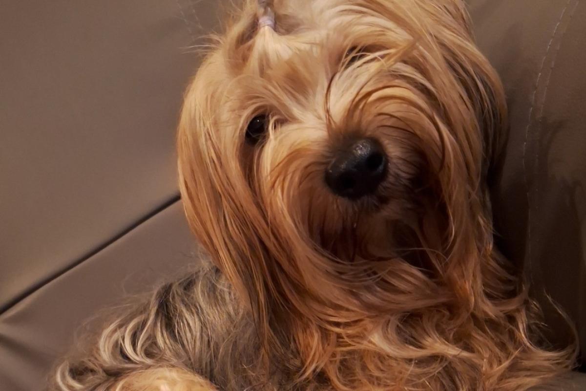 Riley