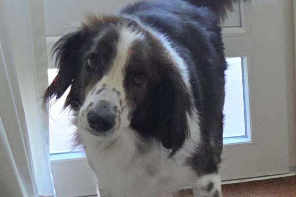Yuki