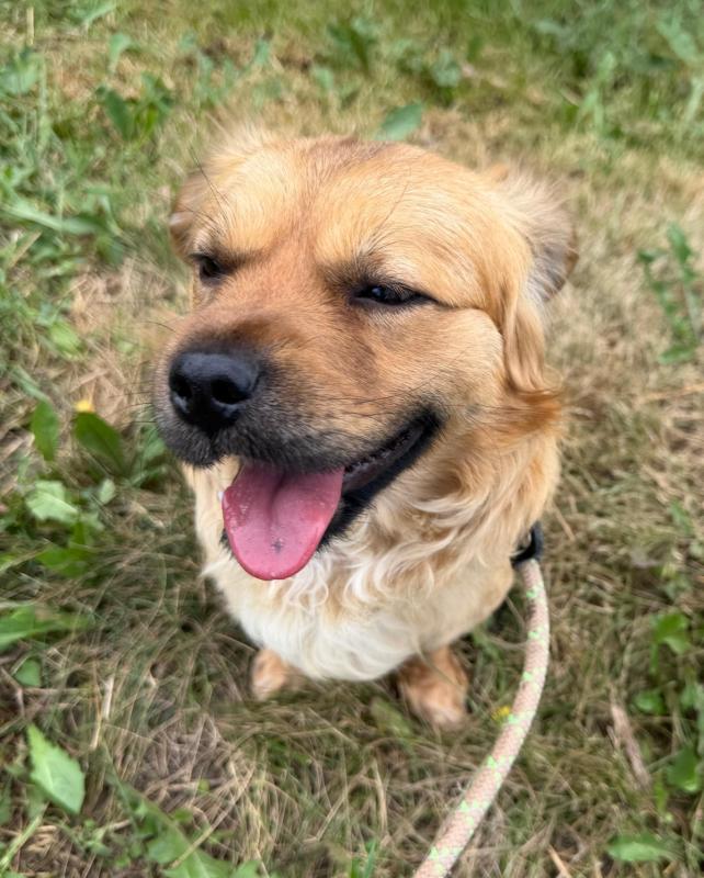 Hugo