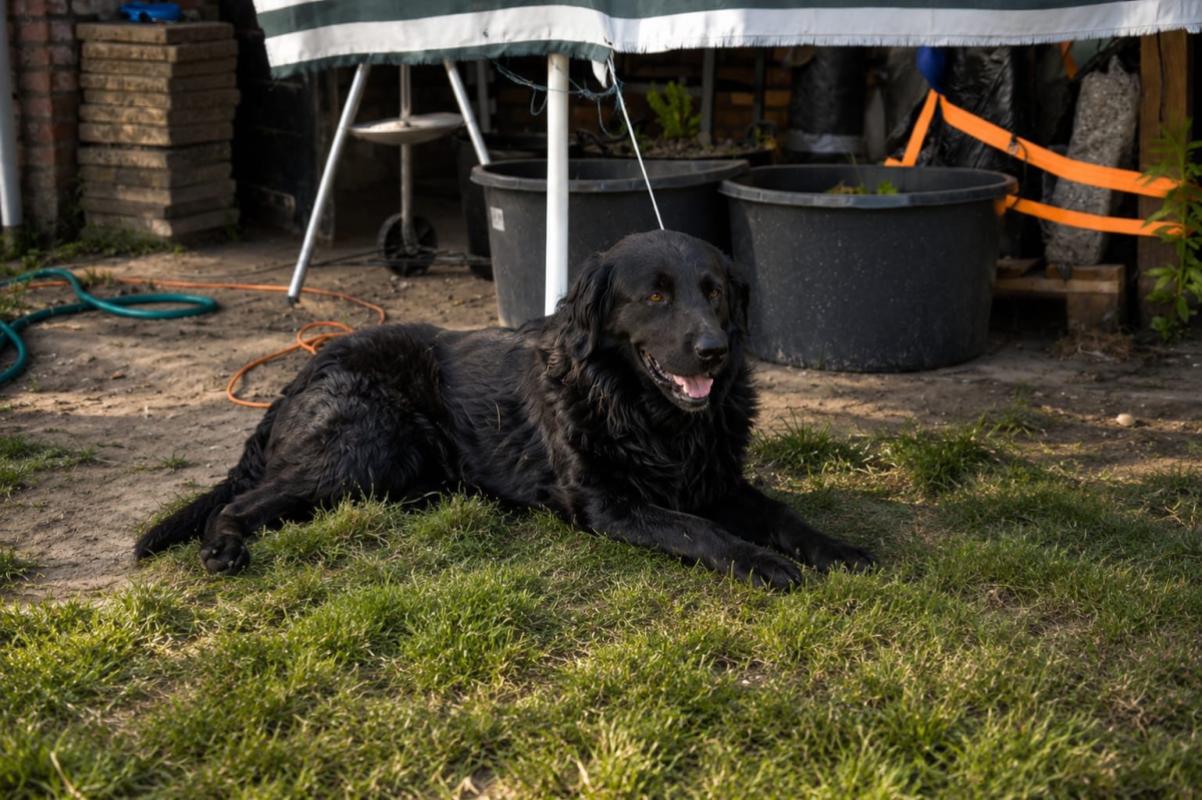Max
