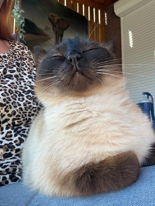 Coco