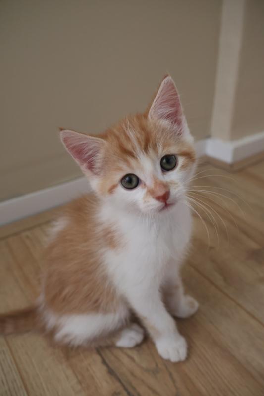 Pablo